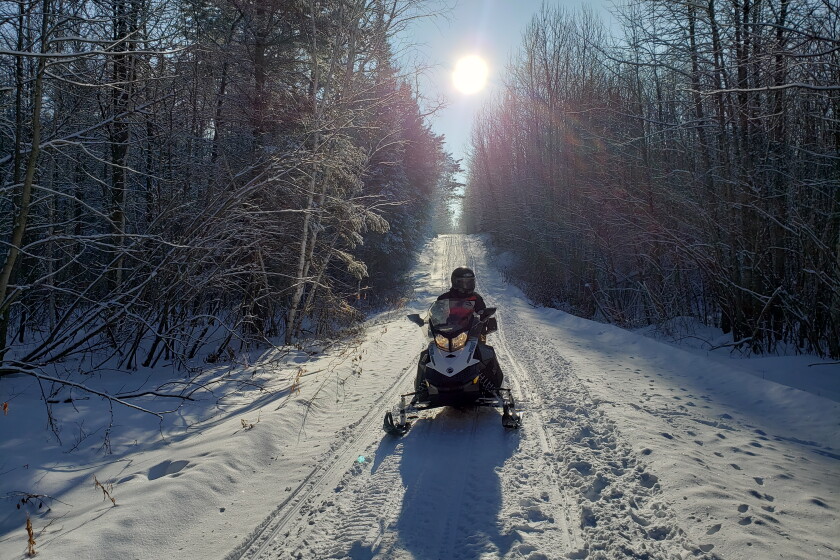 Snowmobiler riding a sunlit groomed trail through the woods